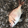 きょーた